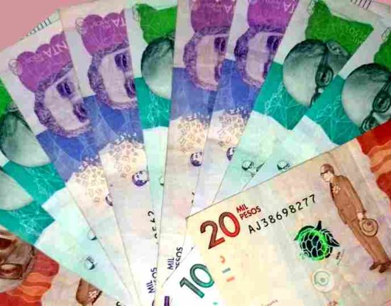 ¿Cómo van los pagos de la Renta Ciudadana y Devolución del IVA en 2023? -Consulta Ingreso Mínimo Garantizado 2023 - wintor abc - wintor informa