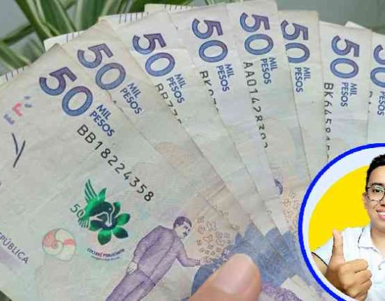 Subsidio Ingreso Mínimo Garantizado 2023