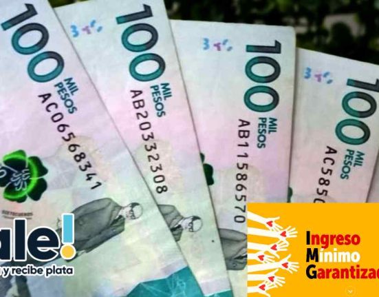 ¿Dale Confirma Pagos 2023 del Subsidio Ingreso Mínimo Garantizado?