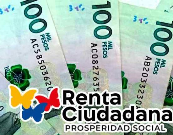consulta en 2023 Pagos de la renta ciudadana