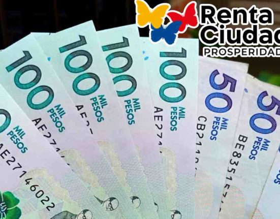 ¡Importante! La Renta Ciudadana 2024, Valores a Pagar en Los Ciclos