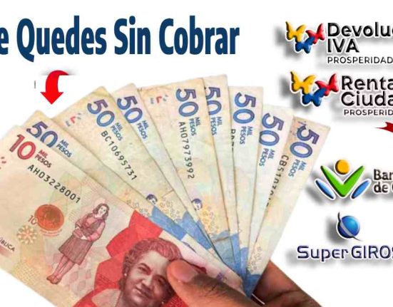 esta imagen contiene los logos de los programa plata Pagos 2024 Devolución del IVA y Renta Ciudadana
