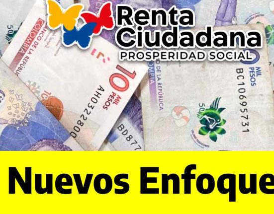 Wintor ABC: Enfoques de Renta Ciudadana 2024