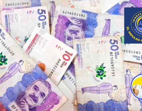 la imagen contiene una foto en billetes de denominación en pesos colombianos, un logo de ingreso mínimo garantizado y el logo de Wintor ABC Transferencias Más Bien-Estar