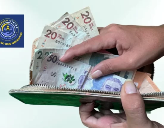 Imagen contiene billetera en pesos Colombianos y el logo IMG.