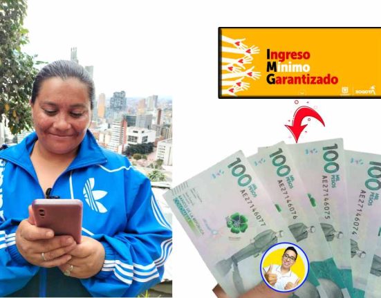 mujer mirando el celular, billetes de cien mil pesos colombianos y logos de Ingreso Mínimo Garantizado, Wintor ABC Consulta Transferencias Más Bien-Estar