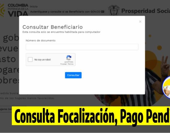 Formulario de consulta de la pagina devolución de IVA, el logo de Wintor ABC, las siguientes palabras consulta pago Focalización de la Devolución del IVA