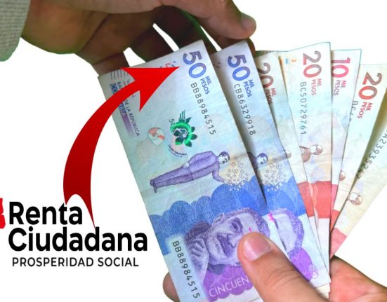 Tabla de Valores del Subsidio Renta Ciudadana 2024