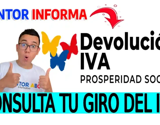 Consulta tu giro del IVA