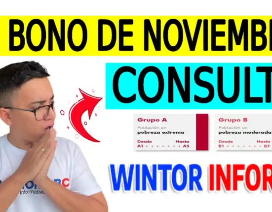 Consulta bono de noviembre