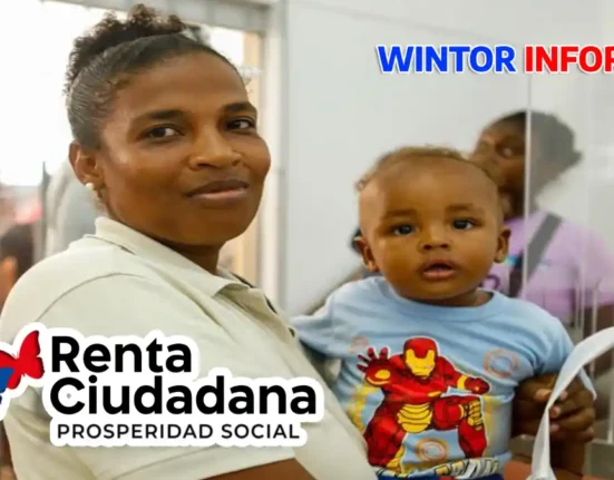Giros de la renta ciudadana