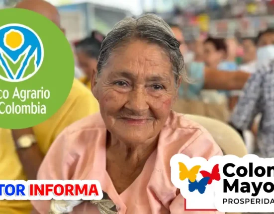 Ciclo 12 Colombia mayor