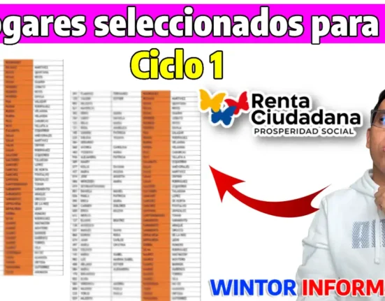 Hogares seleccionados para el Ciclo 1