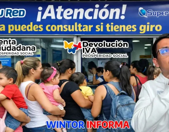 consultar si tienes giro
